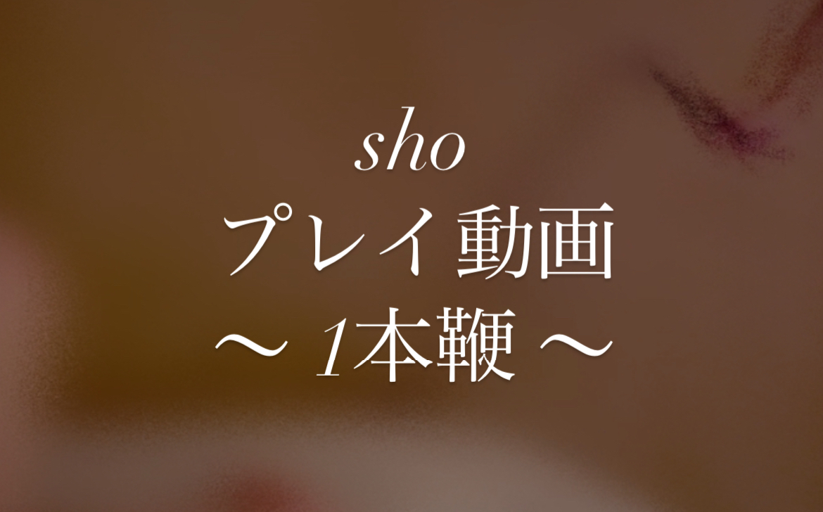 SHOU（ショウ） 1本鞭