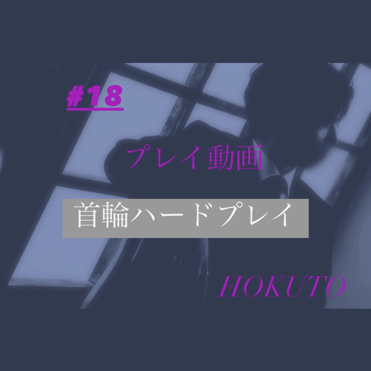 HOKUTO(ホクト) 首輪ハードプレイ