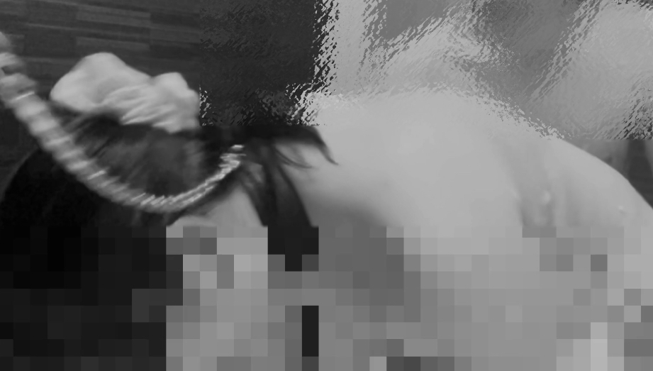 KEN（ケン） 🦮首輪四つん這い泡洗体③🦮