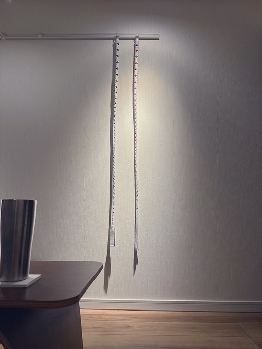 KAITO（カイト） 動画日記こうしんしたよ！