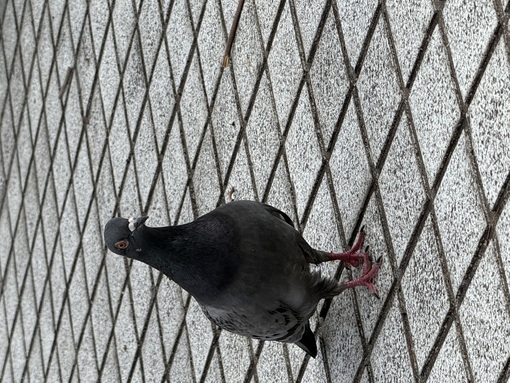 ENATO（エナト） 絶妙な距離感