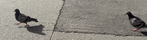 ENATO（エナト） 比べなくていい