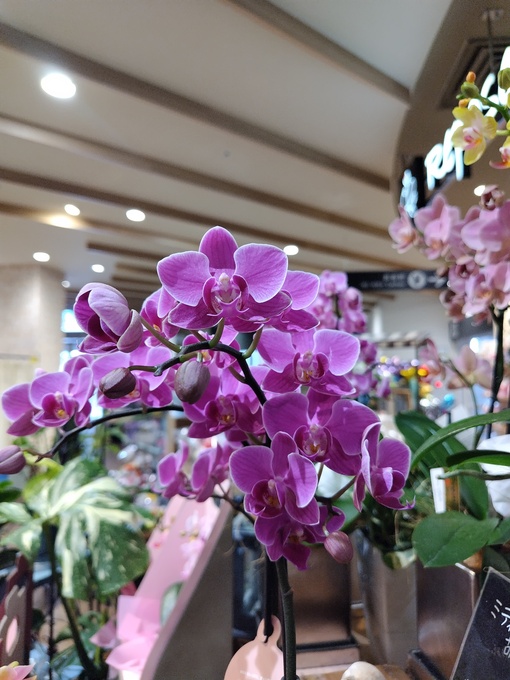 HIDEKI（ヒデキ） 初めてのモニター様から嬉しいアンケートをいただきました✨